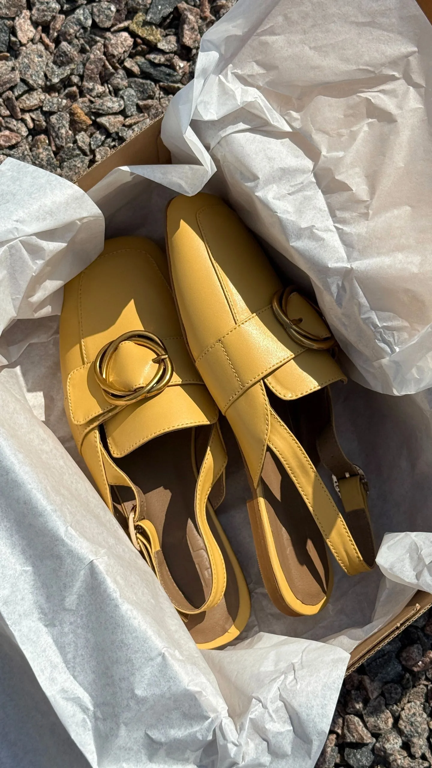 Слінгбеки коричневі